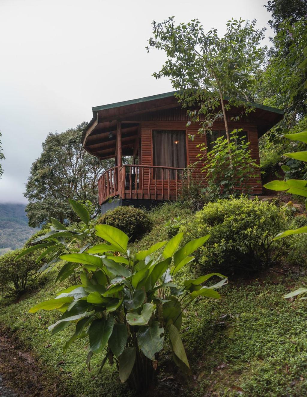 Cedrela Eco-Lodge & Restaurante Copey Exterior foto