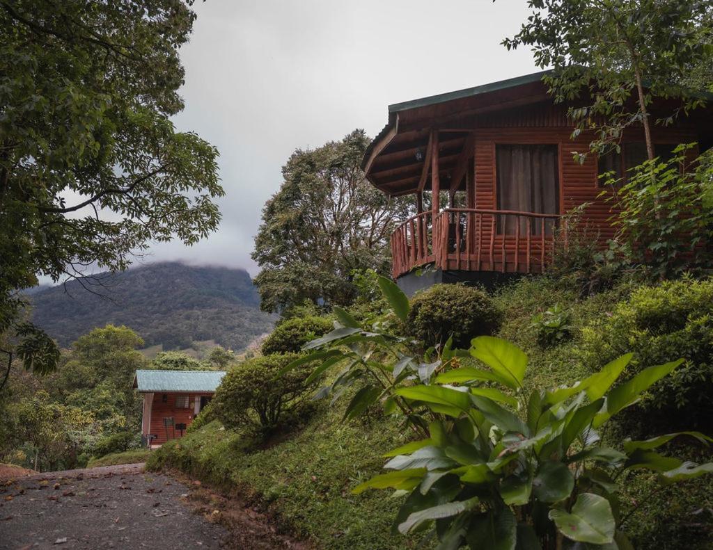 Cedrela Eco-Lodge & Restaurante Copey Exterior foto