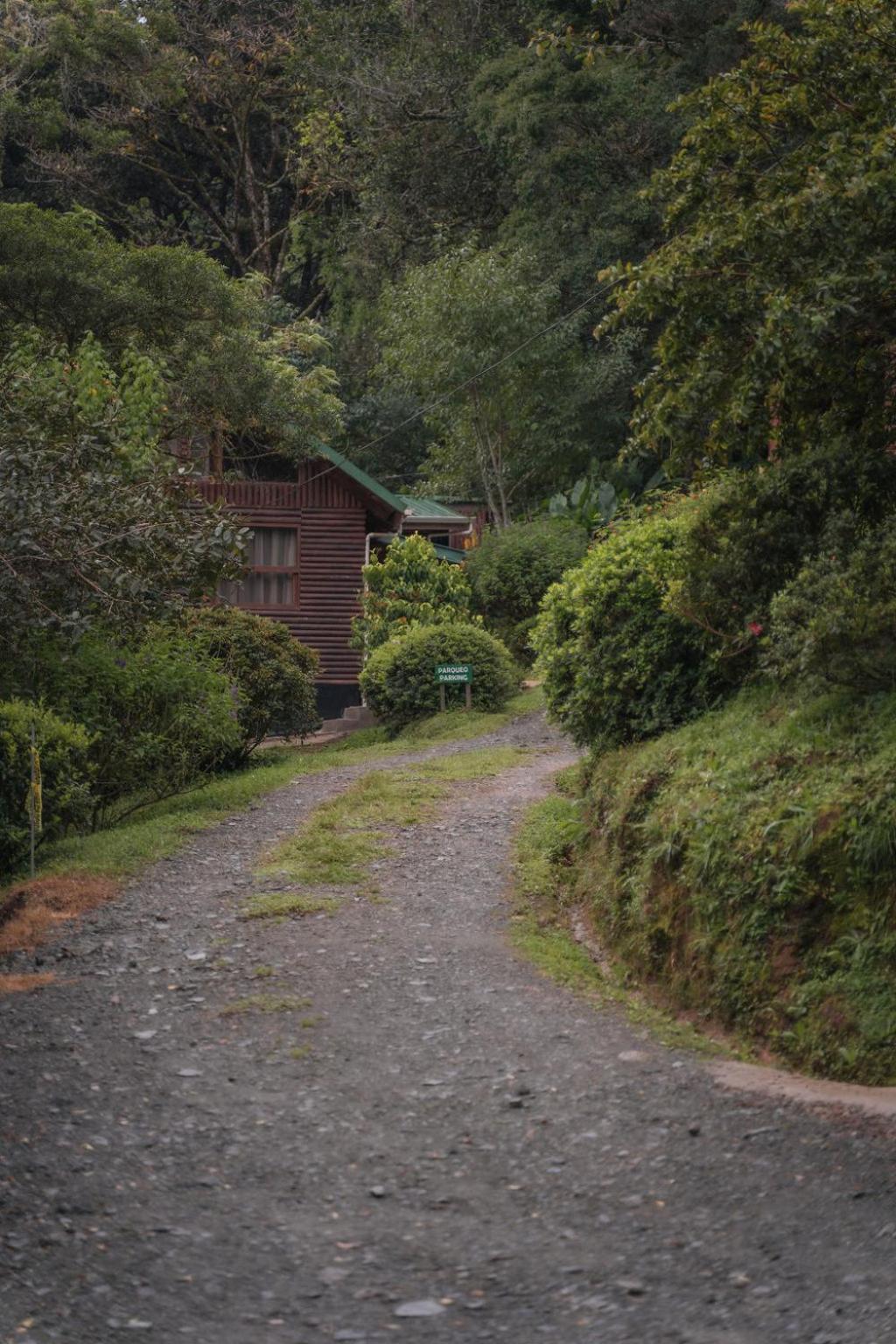 Cedrela Eco-Lodge & Restaurante Copey Exterior foto