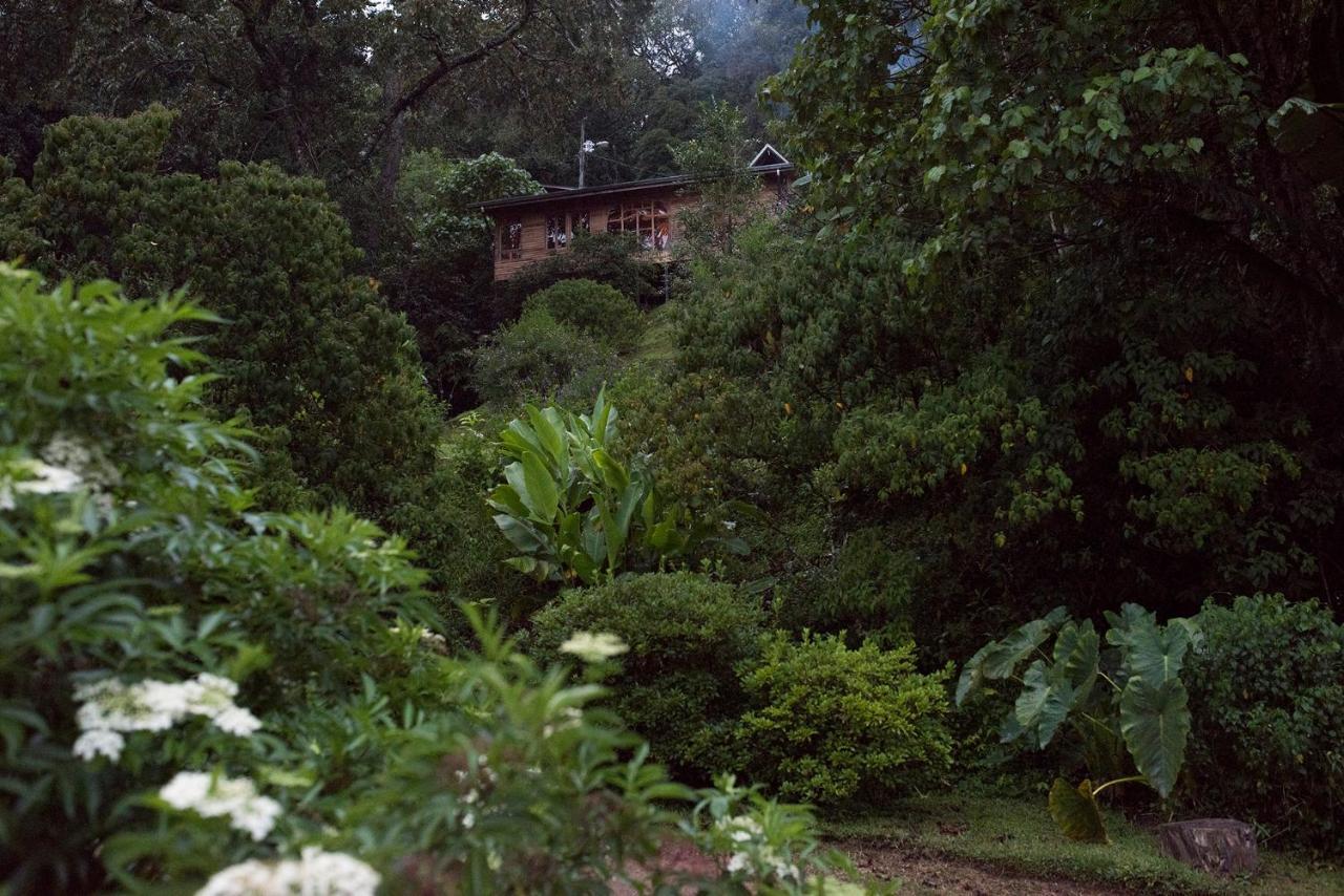 Cedrela Eco-Lodge & Restaurante Copey Exterior foto